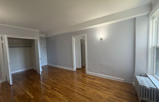 Studio, 1 bath, $1,095, Unit 107