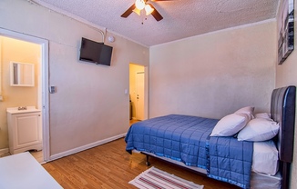 Studio, 1 bath, 215 sqft, $1,095, Unit 10