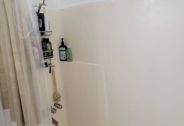 Studio, 1 bath, $1,065, Unit 308