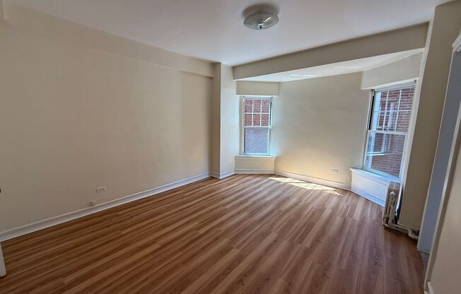 Studio, 1 bath, 295 sqft, $1,250, Unit Old King Edward 171