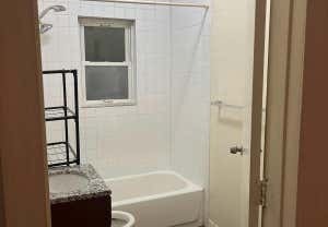 1 bed, 1 bath, $1,236