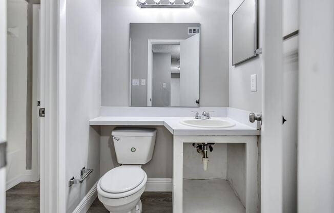 a bathroom with a toilet and a sink and a mirror