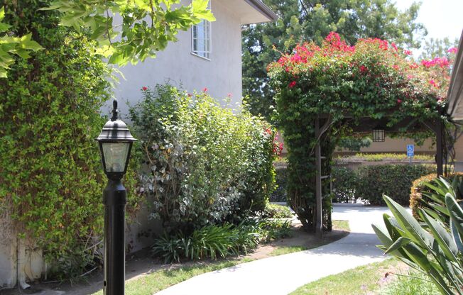 Create A Great Life at Sycamore, Holliston