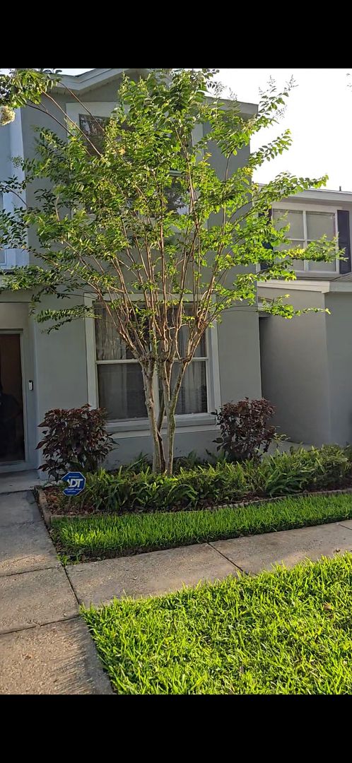SPACIOUS, BEAUTIFUL 3 BEDROOM 2.5 BATH TOWNHOME IN RIVERVIEW & INTERIOR PAINTING IN PROCESS