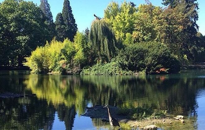 Studio, 1 bath, 551 sqft, $1,600, Unit 025