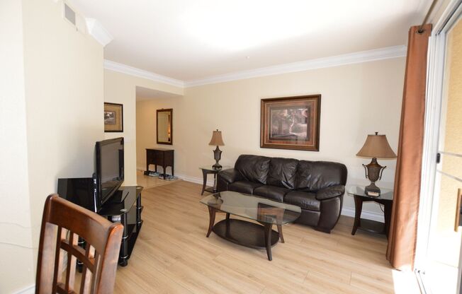 Fully Furnished, 1 Bd / 1 Ba Luxury Condo