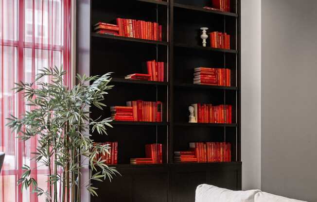 A living room with a white sofa and a bookshelf filled with red books.