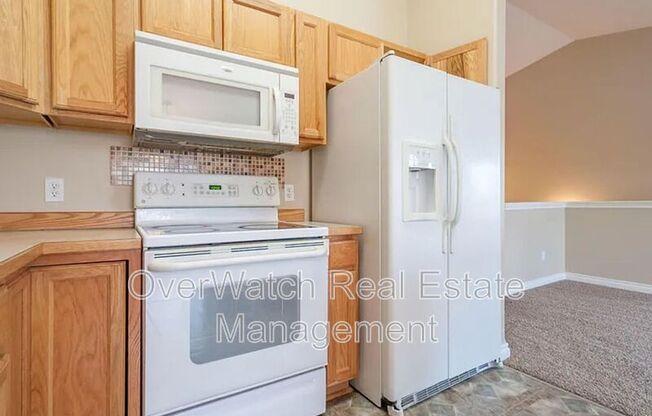 2990 SUMMER MIST CT