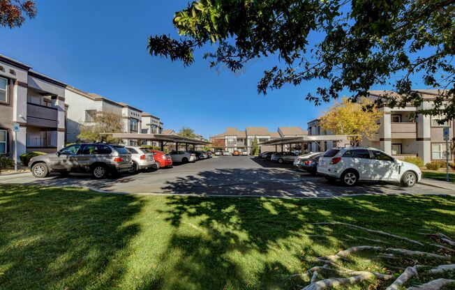 1 bed, 1 bath, $1,500