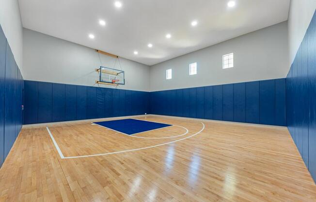 A basketball court with a blue mat and a basketball hoop.