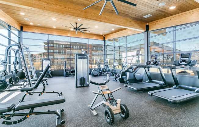 A gym with a variety of equipment including treadmills, weights, and a stationary bike.