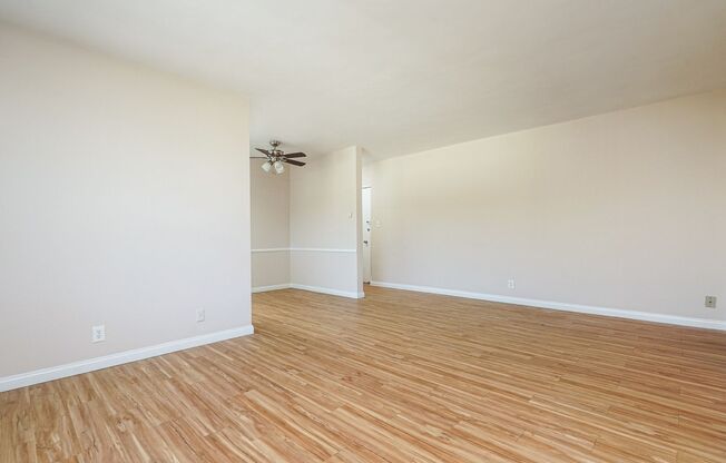 1 bed, 1 bath, $2,395, Unit 19