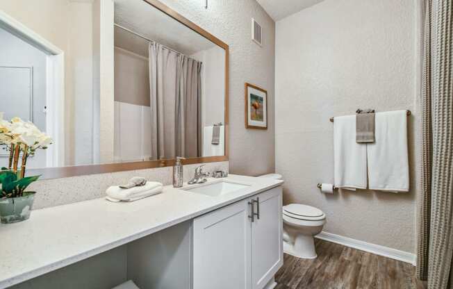 Guest bathroom at 2211 Grand Isle, Brandon, FL, 33511