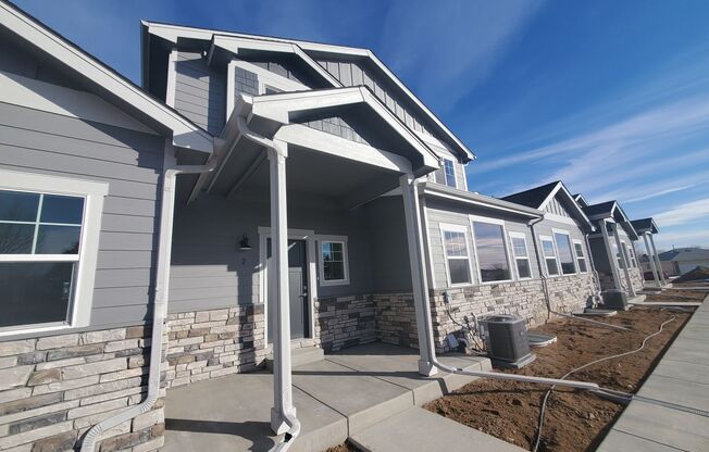 Updated and Very Spacious 3 Bedroom Townhome in Windsor!