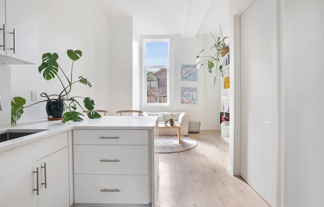 Studio, 1 bath, 289 sqft, $2,521, Unit 1-C
