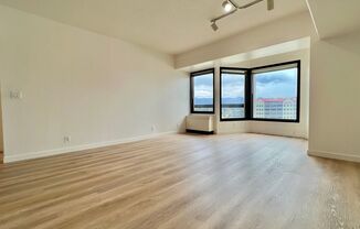 Stunning Large 1 Bedroom Exquisite Vinyl wood Floors Throughout No Carpet!