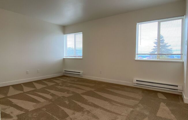 Studio, 1 bath, 563 sqft, $875, Unit Unit 304
