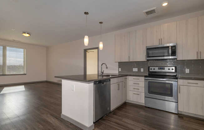 Kitchen and Living Area with Hard Surface Flooring