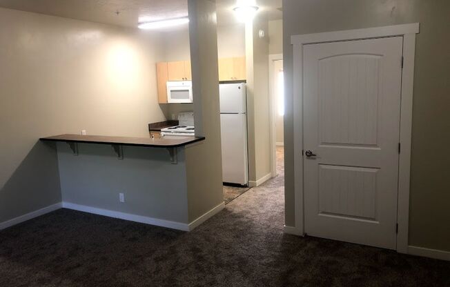 1 bed, 1 bath, 555 sqft, $995, Unit 307-203