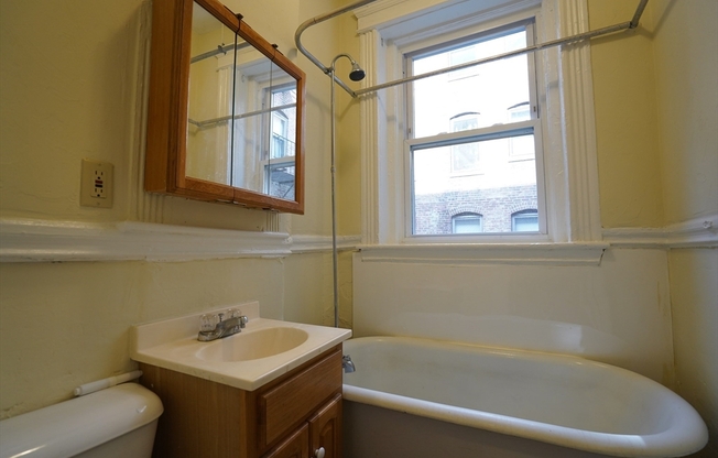 1 bed, 1 bath, 1 sqft, $1,875, Unit 12