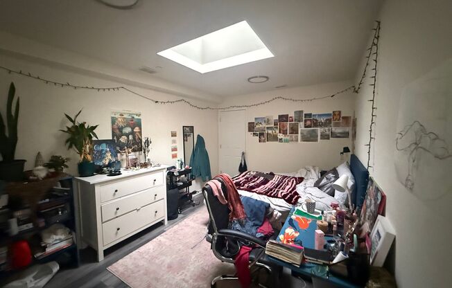 Newly Renovated Temple Apartment