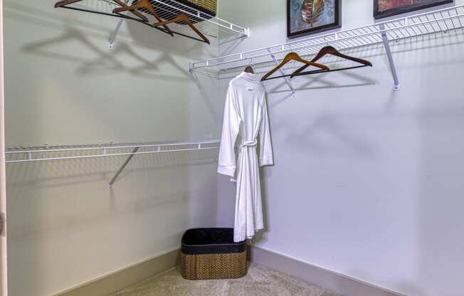 Spacious closets with shelving at 4700 Colonnade Apartments in Birmingham, AL
