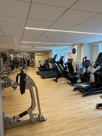 1 bed, 1 bath, 800 sqft, $3,300, Unit 21A