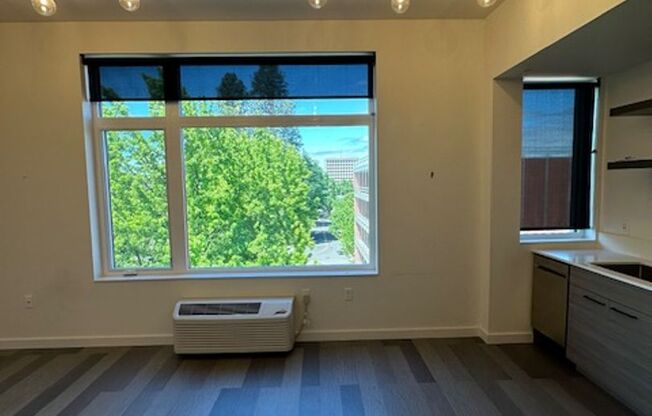 1 bed, 1 bath, 585 sqft, $1,499, Unit 501