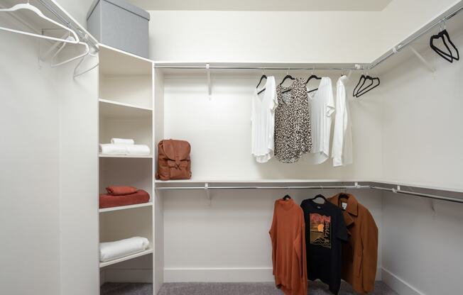 Closet at Allure on Parkway, Florida, 32746