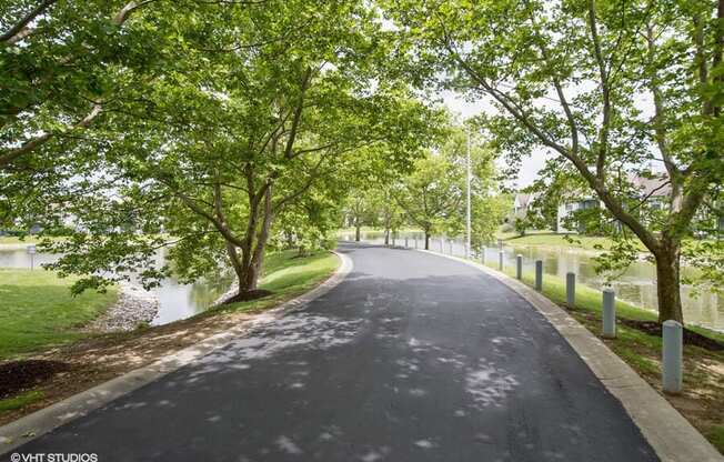 a road with trees on both sides of it near a river