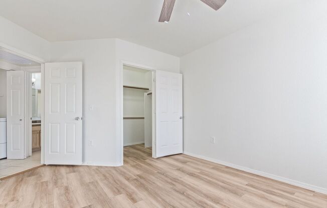 1 bed, 1 bath, $1,250