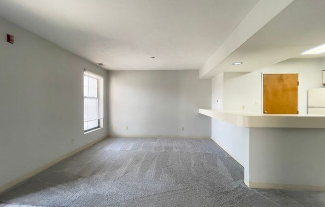 1 bed, 1 bath, 750 sqft, $650, Unit 2