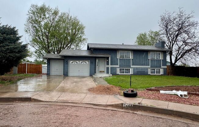 Lovely 3 bedroom+ Office in Widefield