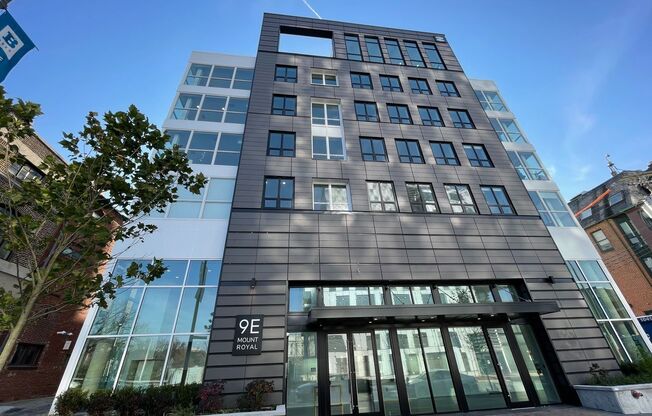 1 bed, 1 bath, 518 sqft, $1,460, Unit 411