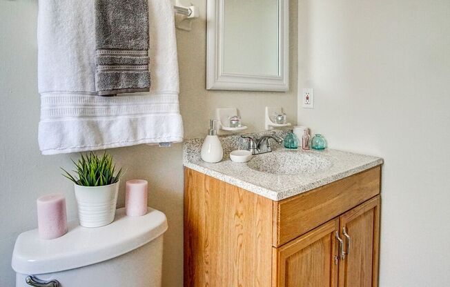Timber Trace Apartments