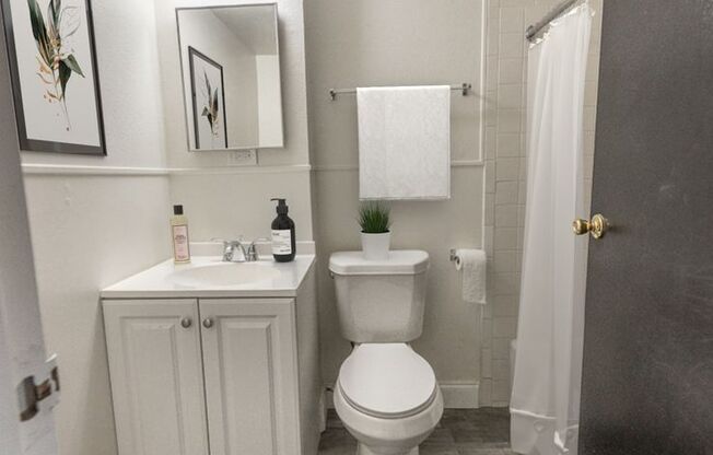Studio, 1 bath, $590, Unit 218