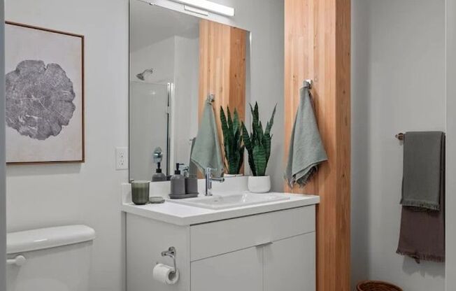 1 bed, 1 bath, 518 sqft, $1,898, Unit 305