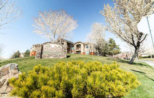 A house with a green lawn and a bush in front.