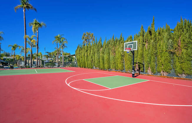 A basketball court with a hoop and a green court surrounded by trees.