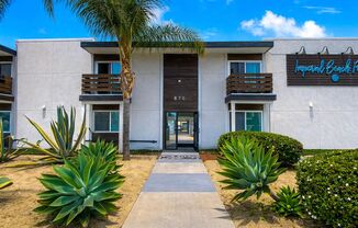 Imperial Beach Palms