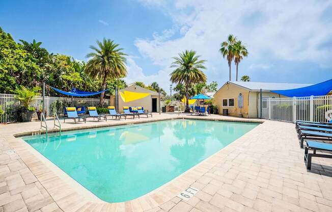 A large outdoor swimming pool surrounded by palm trees and lounge chairs.