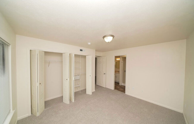 bedroom with a walk-in closet with wardrobe organizers