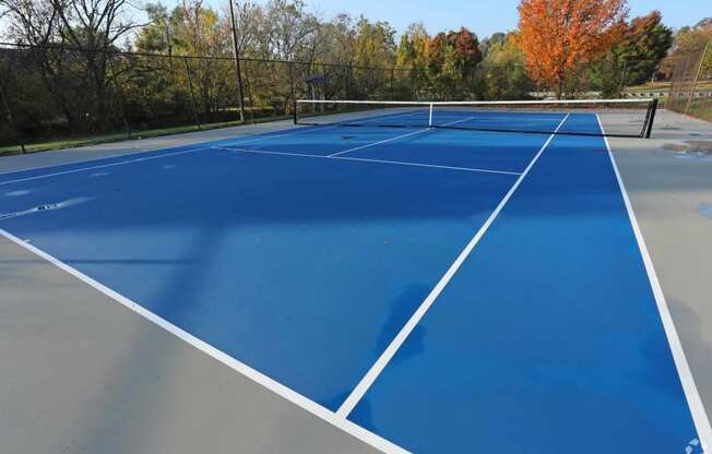 a blue tennis court with white lines and trees in the background