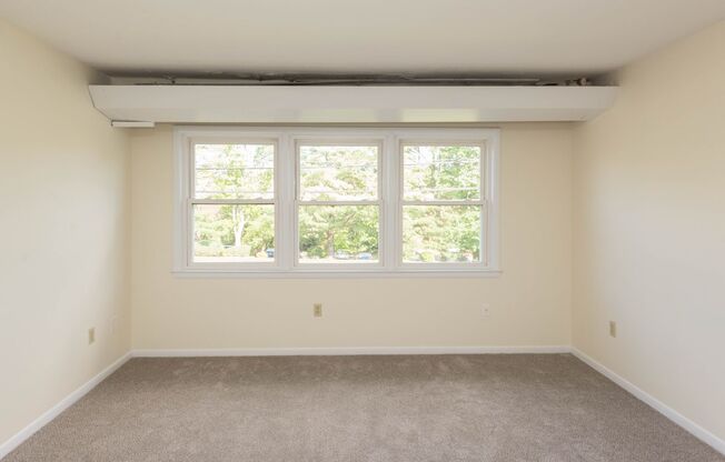 Studio, 1 bath, 518 sqft, $1,595, Unit 502N