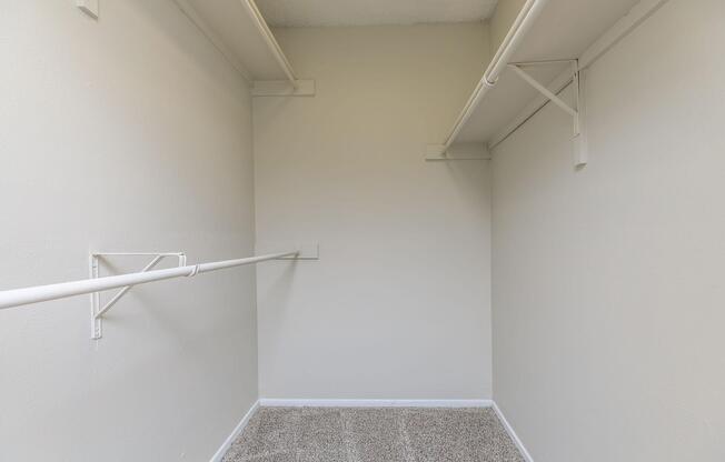 walk-in closet with carpet