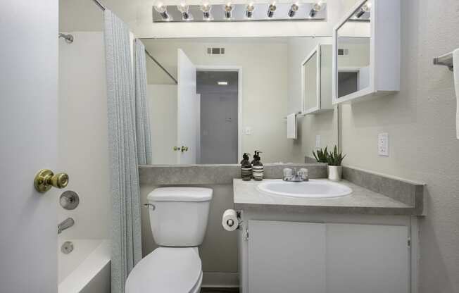 a bathroom with a sink toilet and a mirror