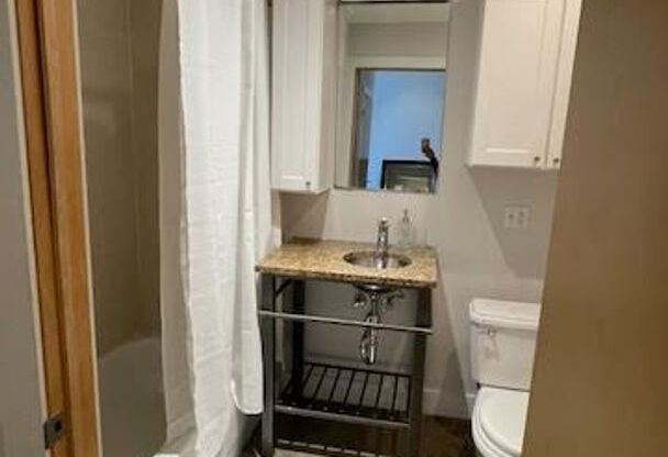 Studio, 1 bath, 610 sqft, $1,450, Unit 110-602