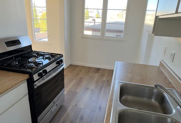 Studio, 1 bath, 450 sqft, $1,599, Unit 209