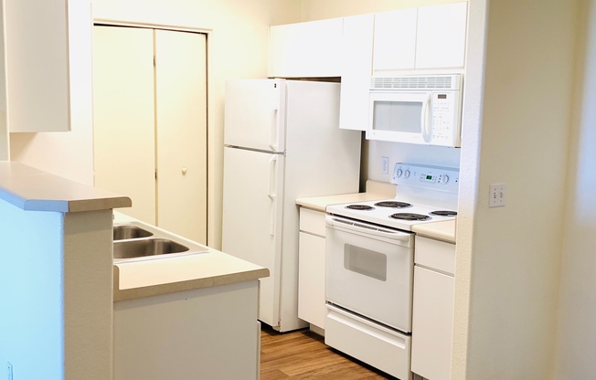 1 bed, 1 bath, 760 sqft, $1,200, Unit 305