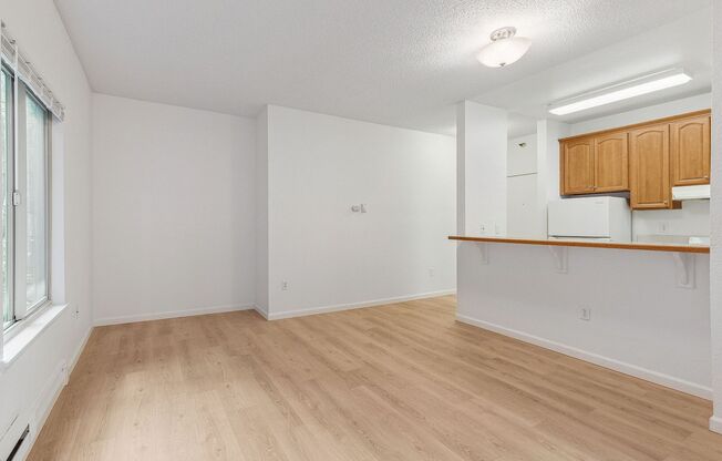 Studio, 1 bath, 360 sqft, $1,188, Unit 205